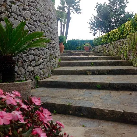 Minuta * Scala
