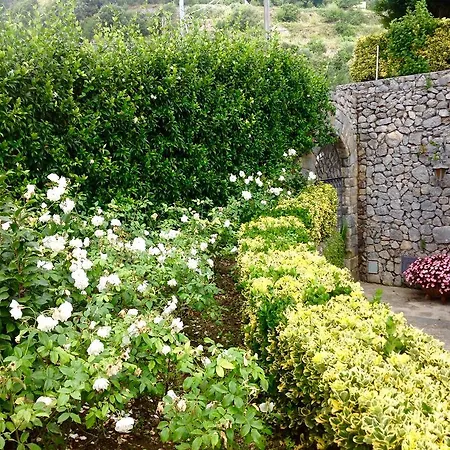 Guest house Minuta *