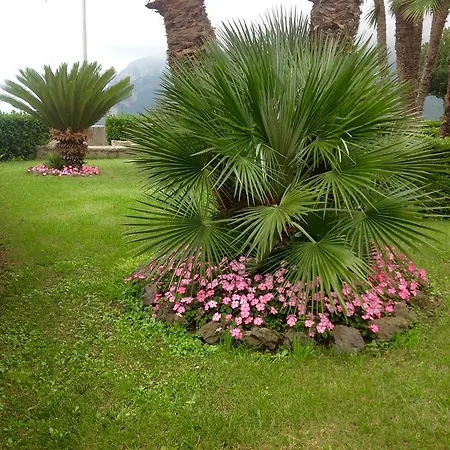 Minuta Guest house *