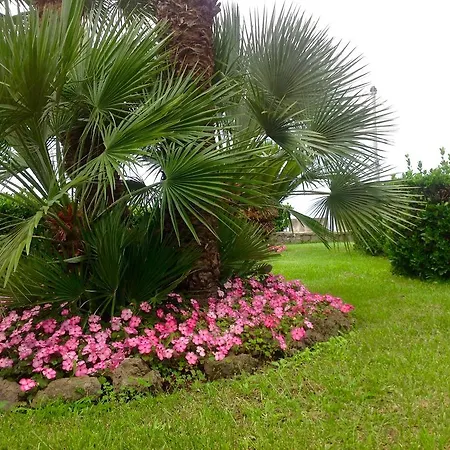 Minuta Guest house Scala