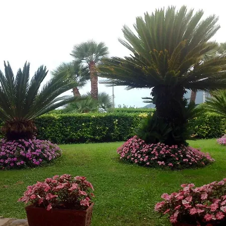 Guest house Minuta Scala
